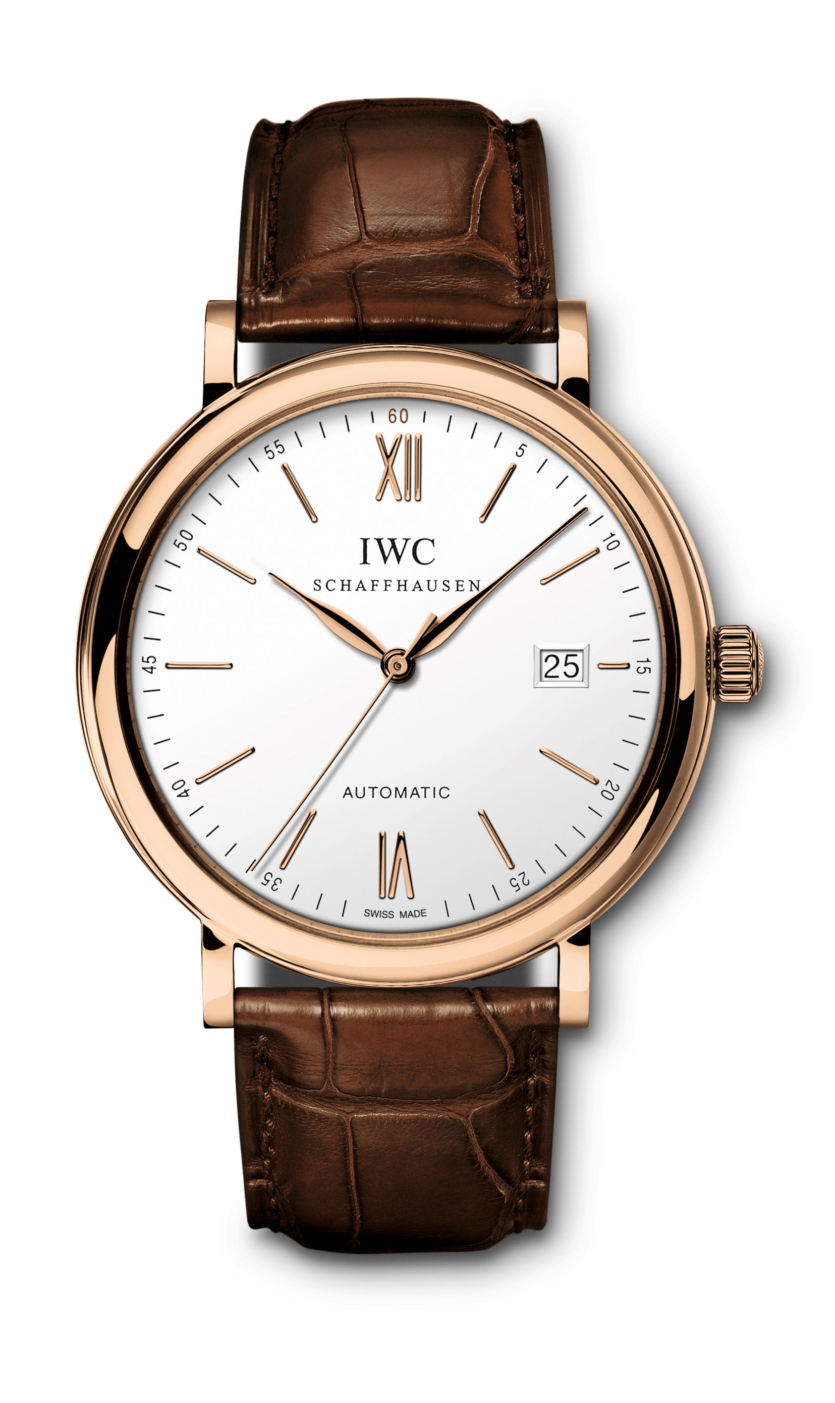 Portofino Automatic Pointer Date Laureus — view 5