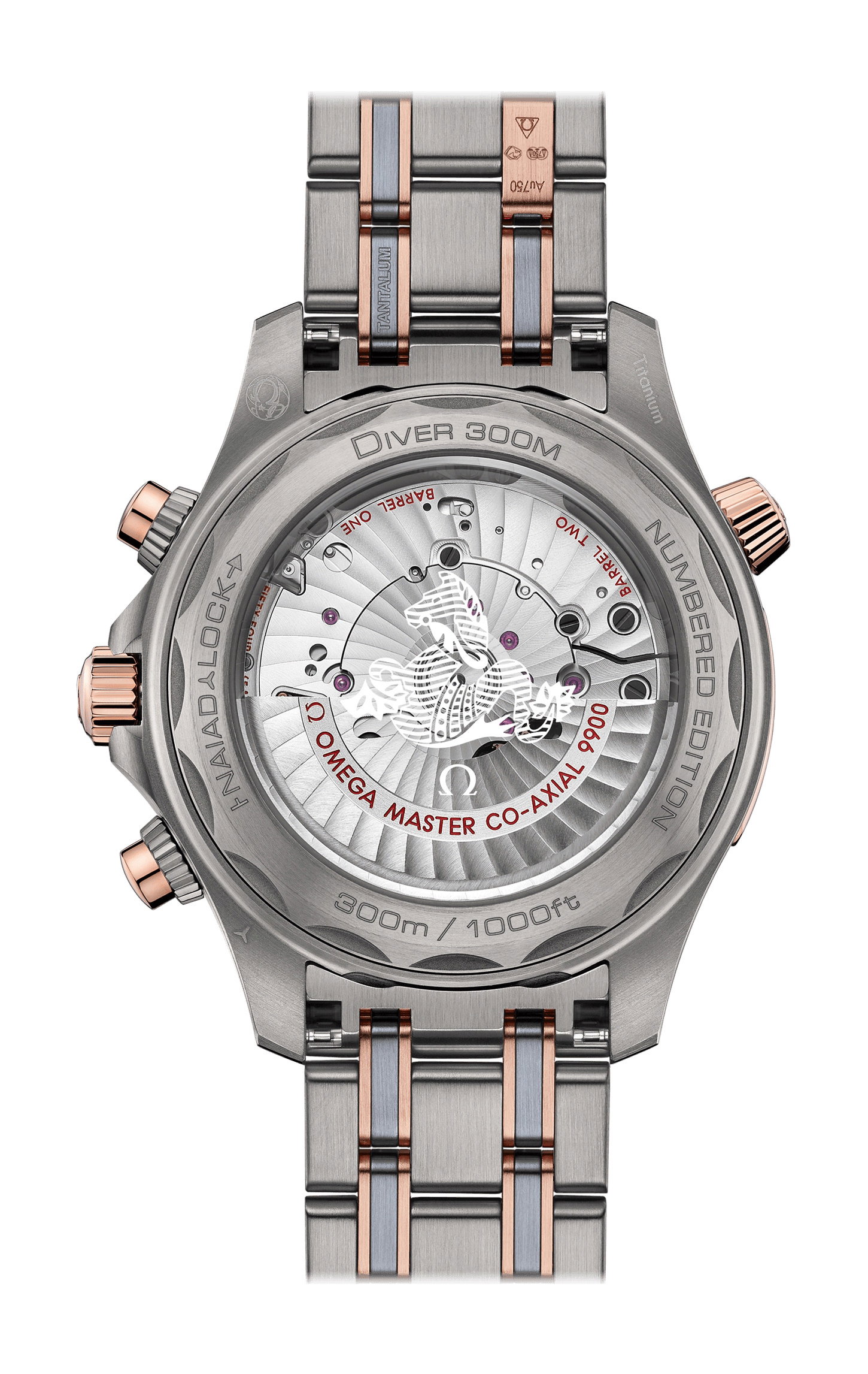 Seamaster Diver 300M — view 2