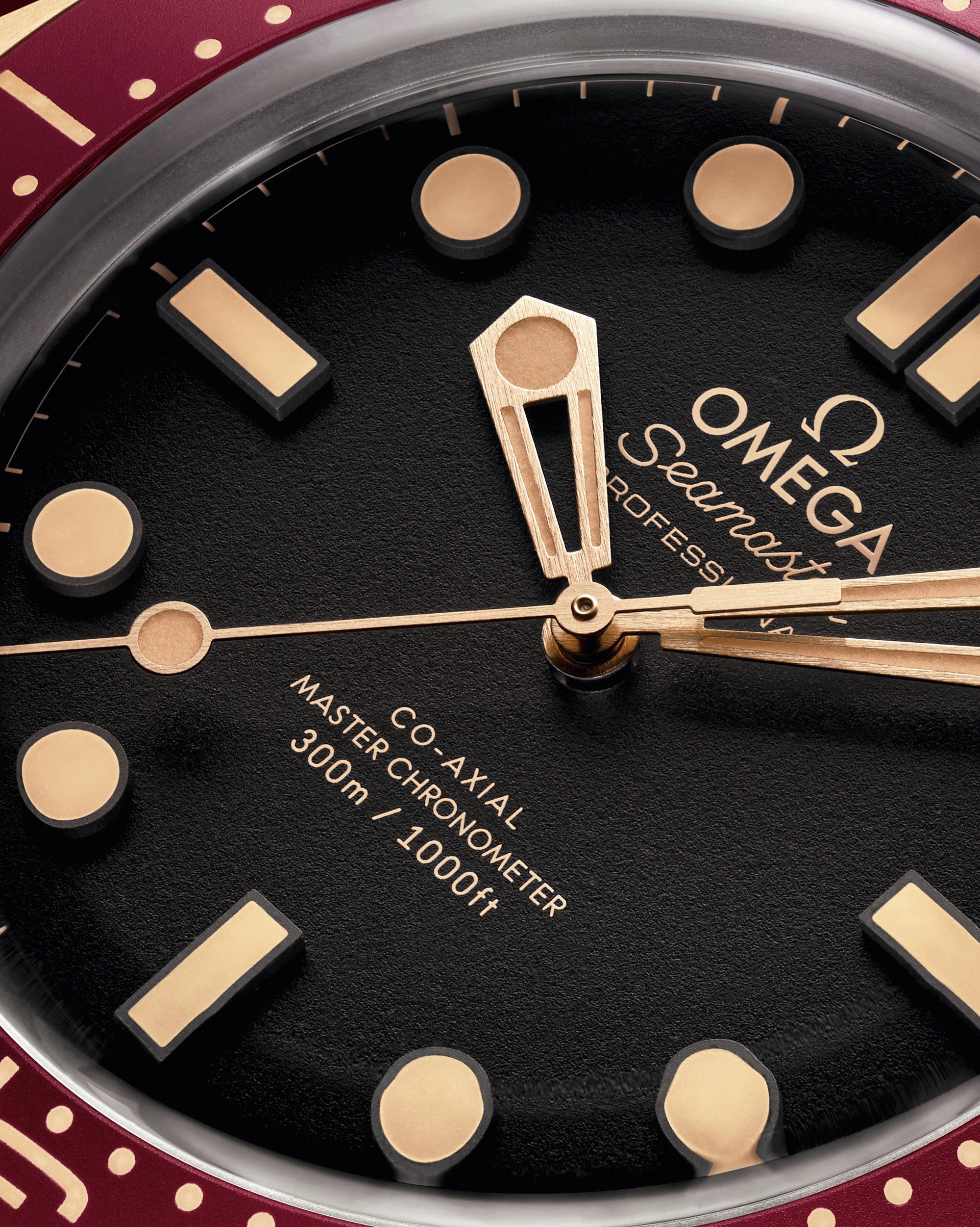 Seamaster Diver 300M — view 2
