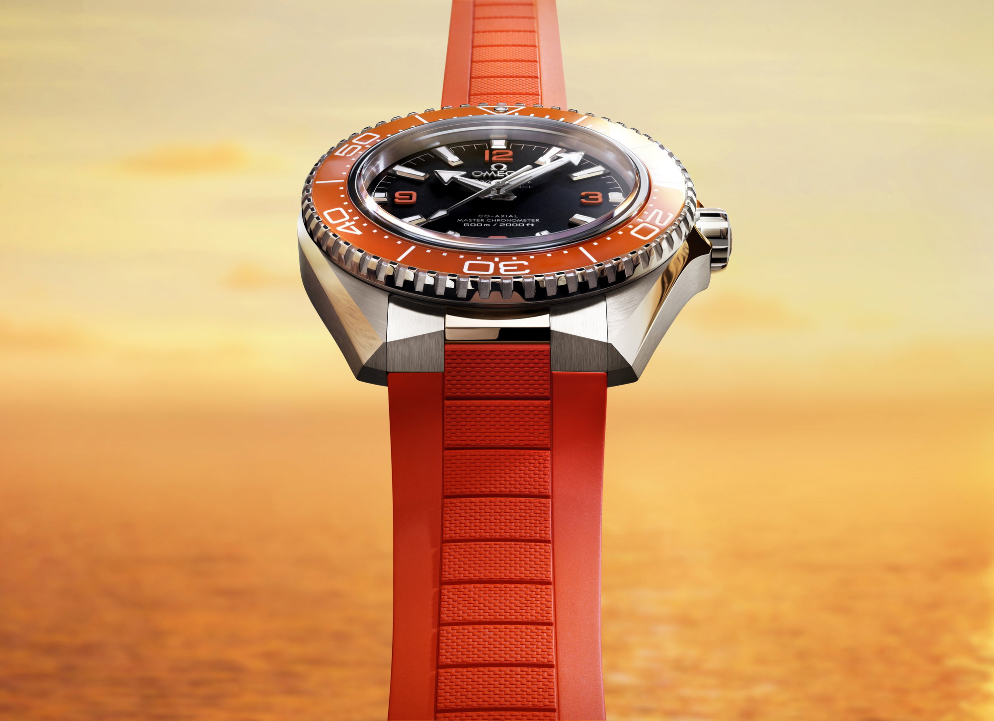 Seamaster Planet Ocean 600M — view 2