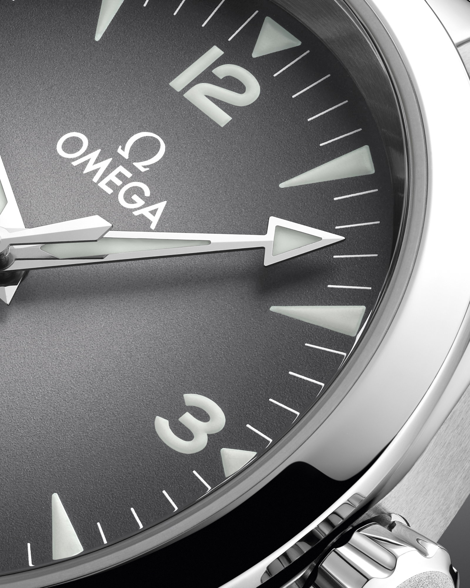 Seamaster Railmaster — view 6