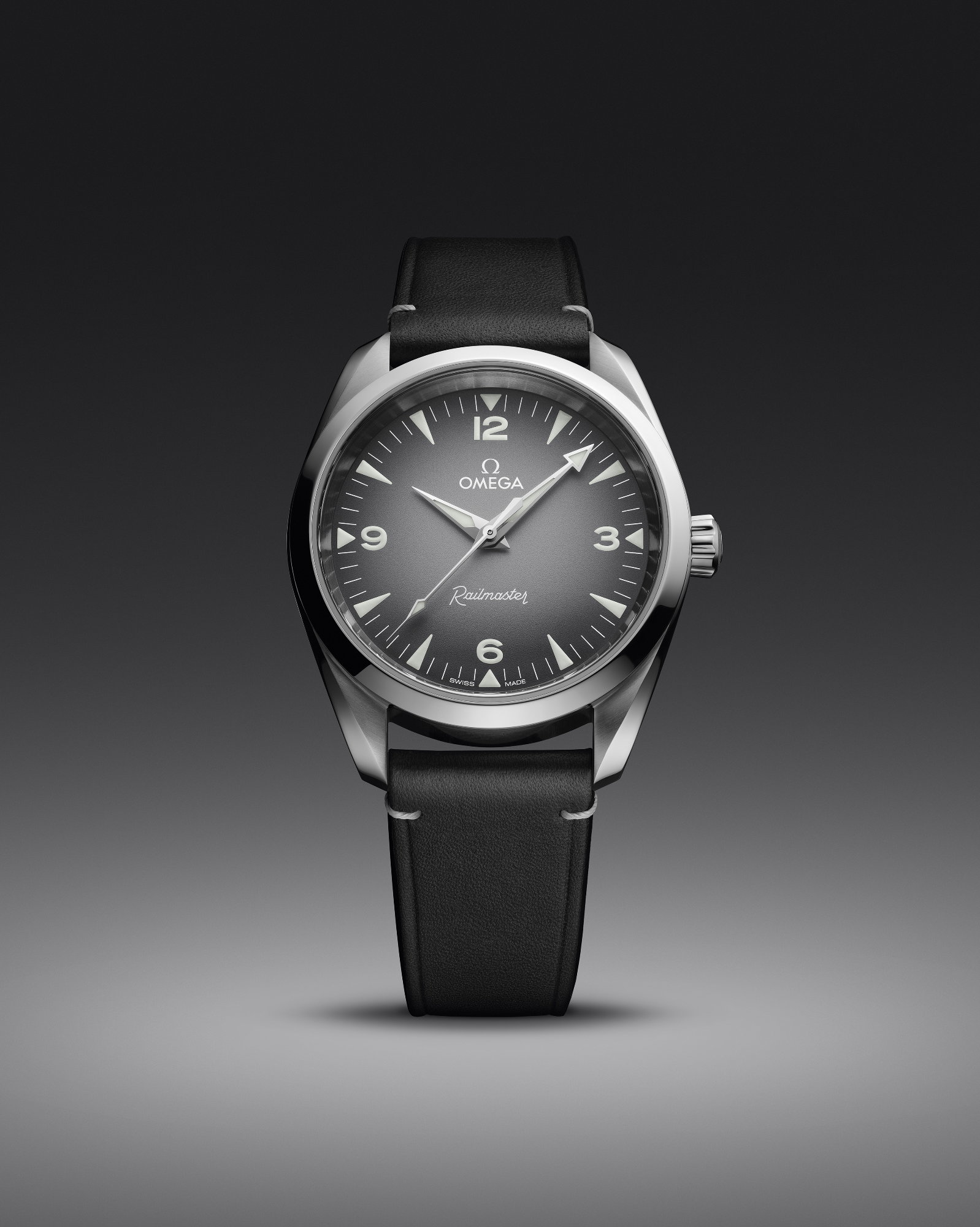 Seamaster Railmaster — view 3