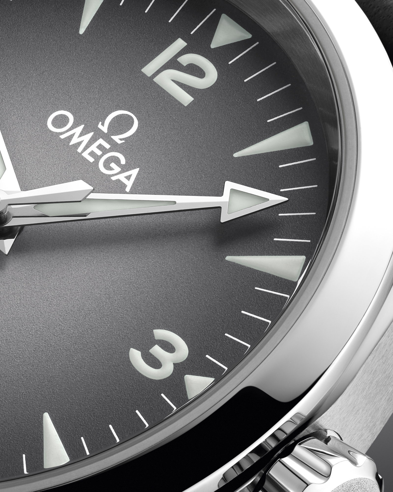 Seamaster Railmaster — view 4