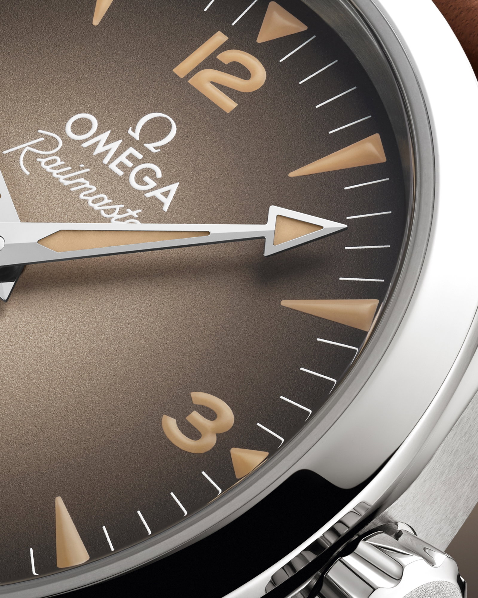 Seamaster Railmaster — view 6