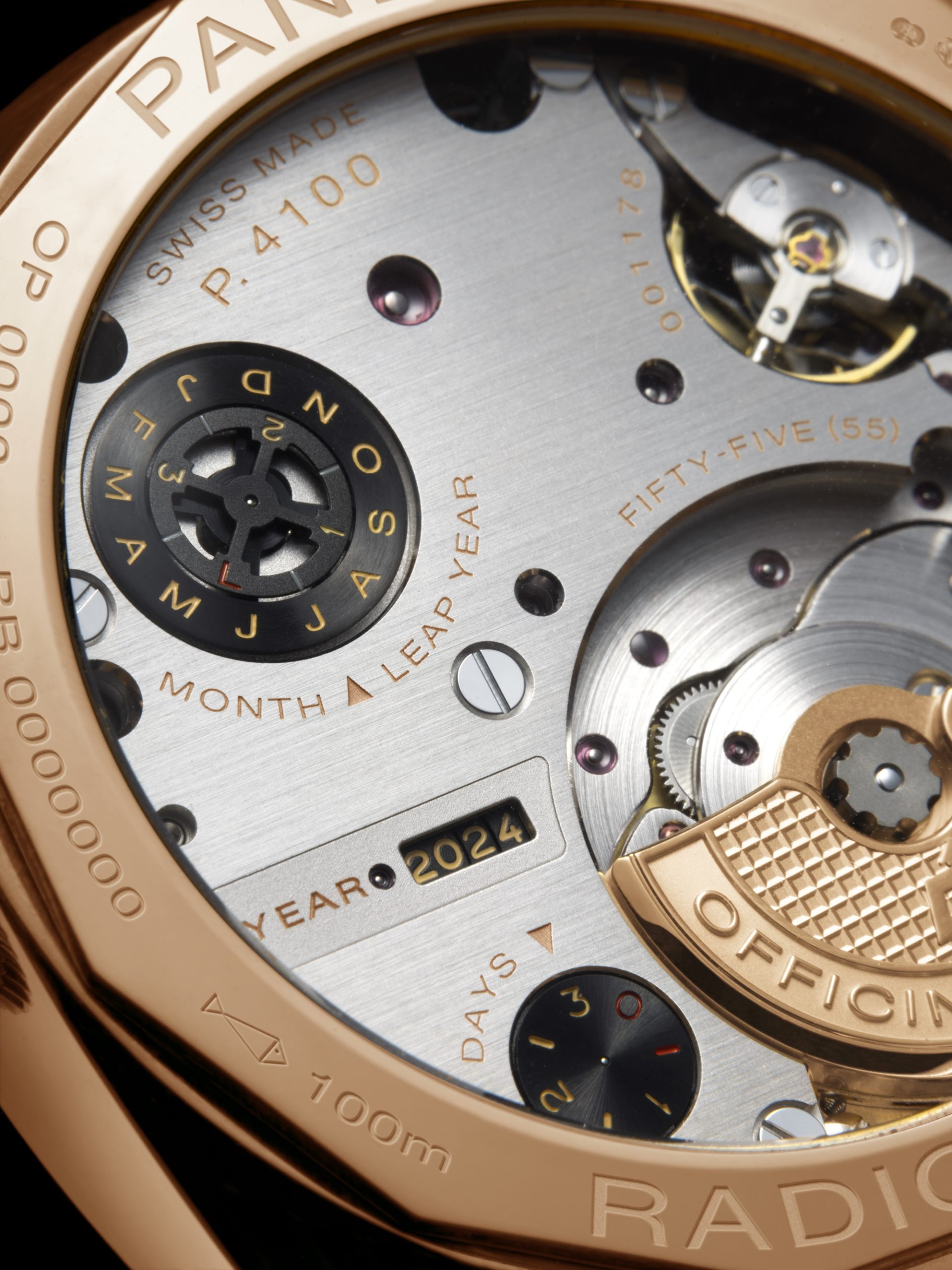 Radiomir Perpetual Calendar GMT Goldtech — view 7