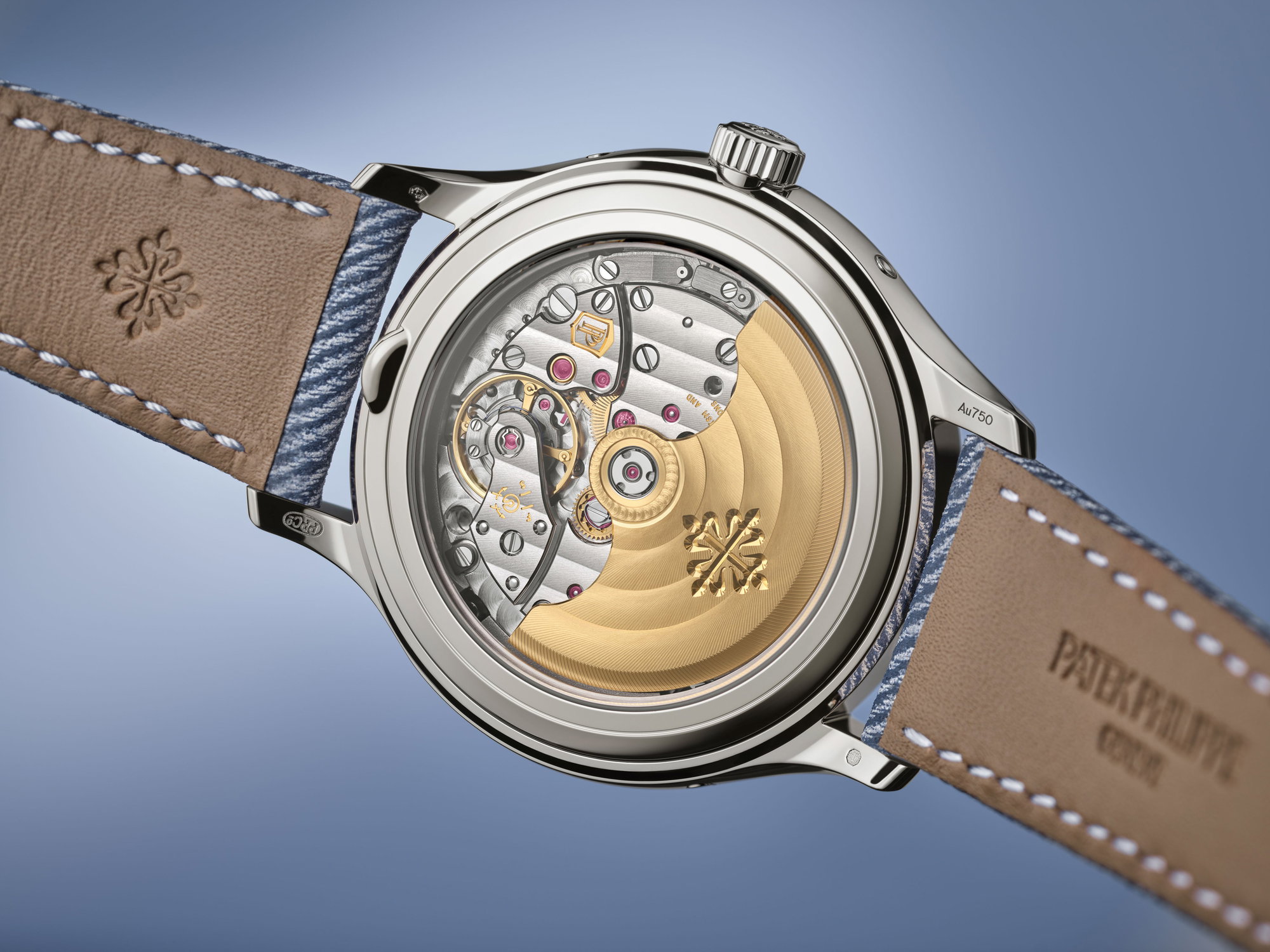 Complications 4946G-001 — view 7