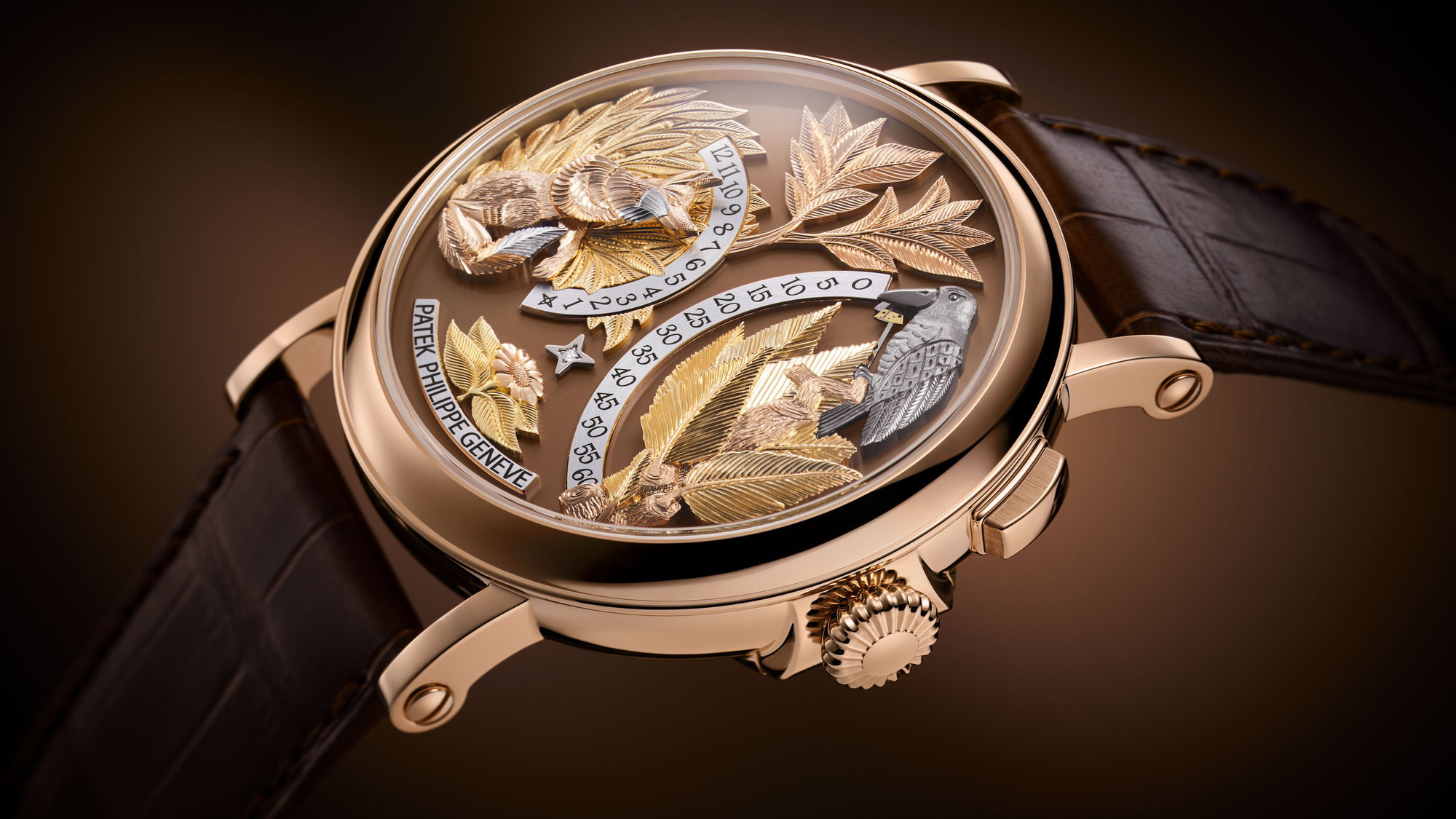 Complications 5249R-001 — view 2