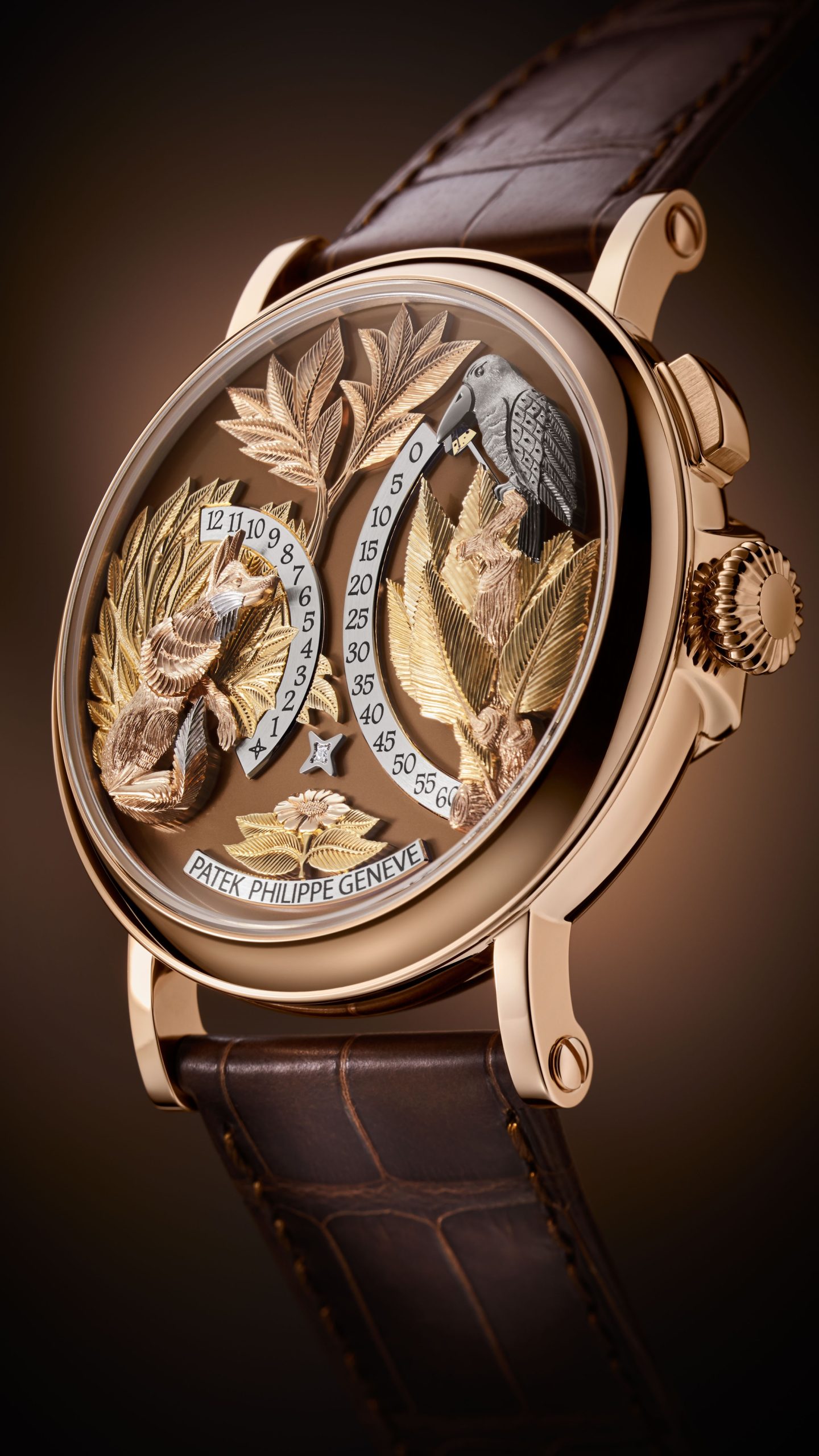 Complications 5249R-001 — view 13