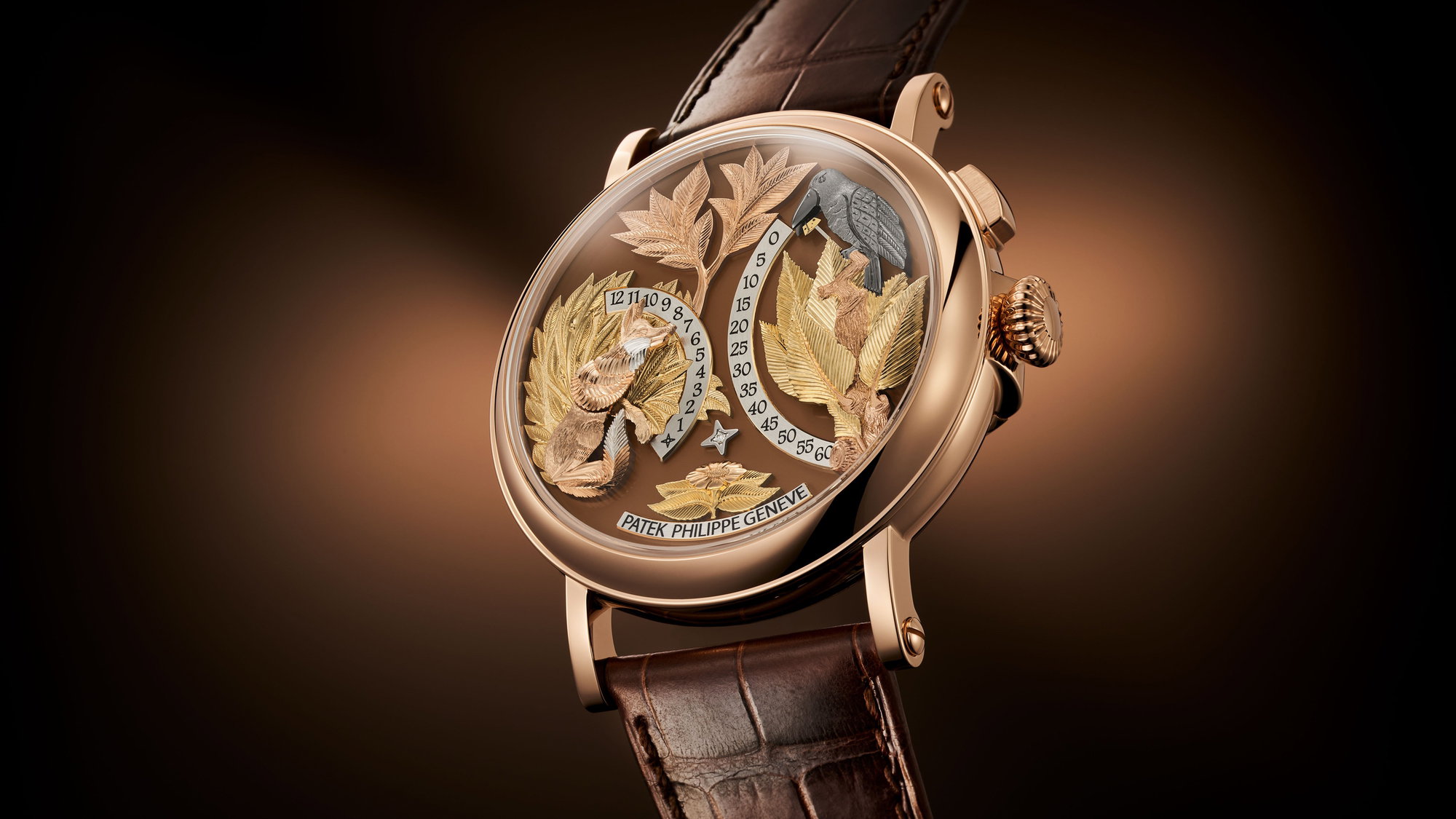 Complications 5249R-001 — view 14