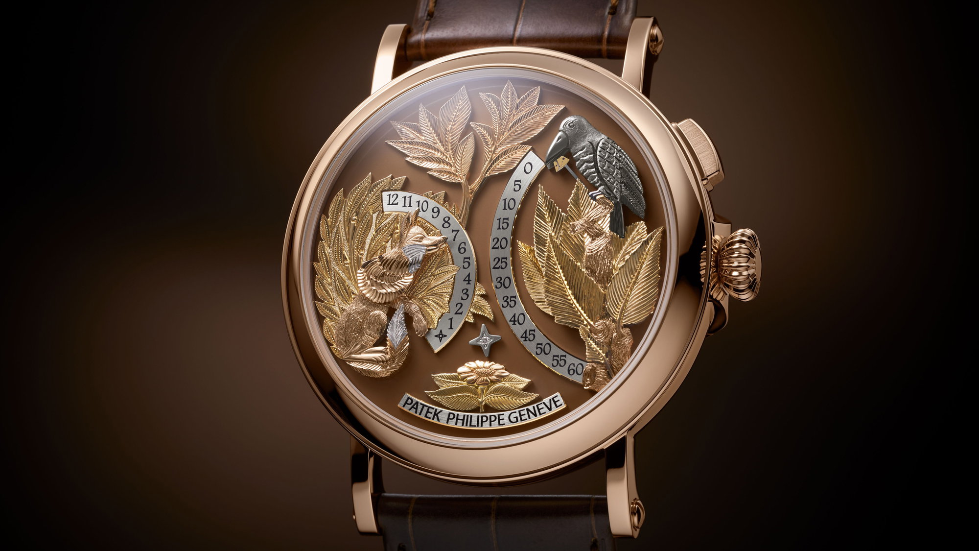 Complications 5249R-001 — view 3
