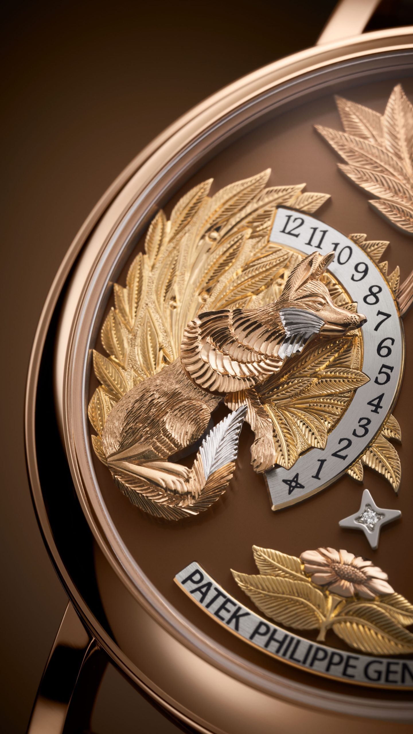 Complications 5249R-001 — view 4