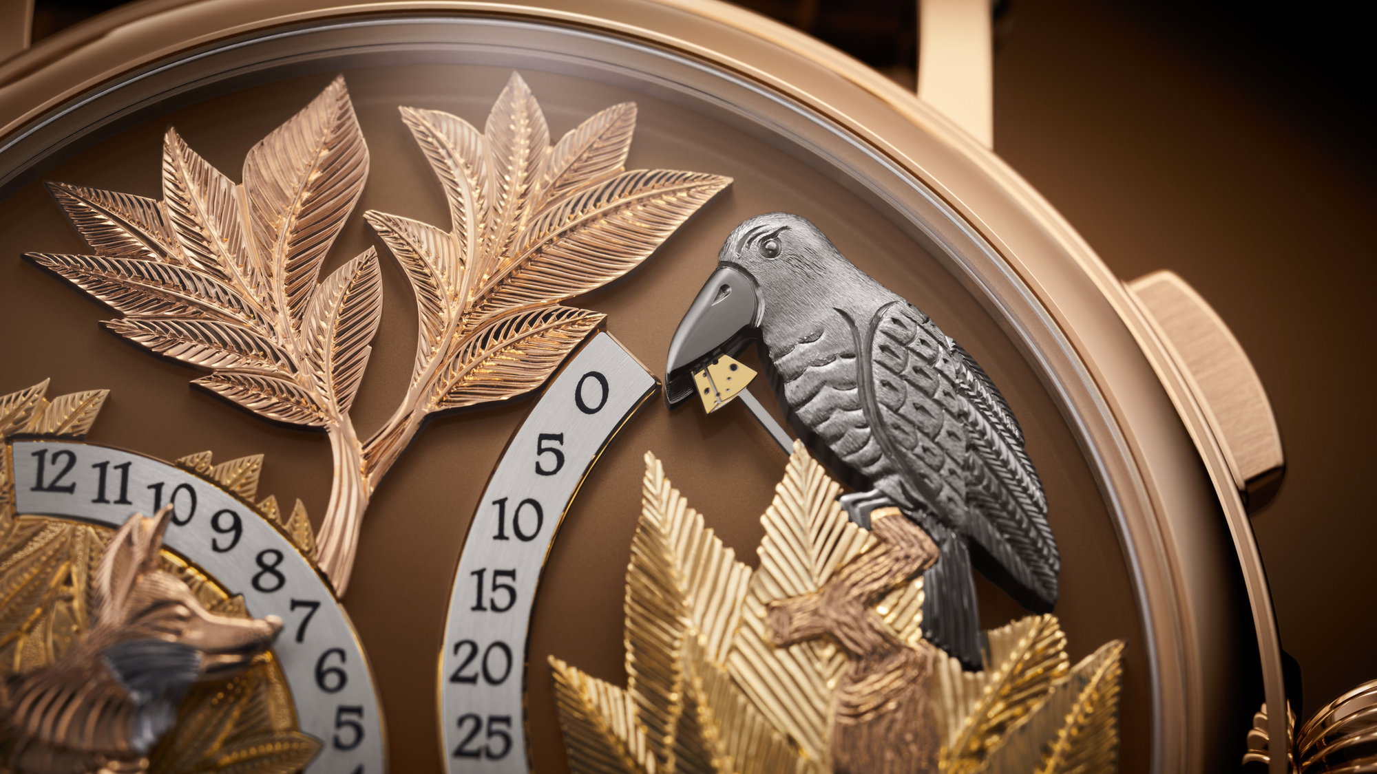 Complications 5249R-001 — view 5