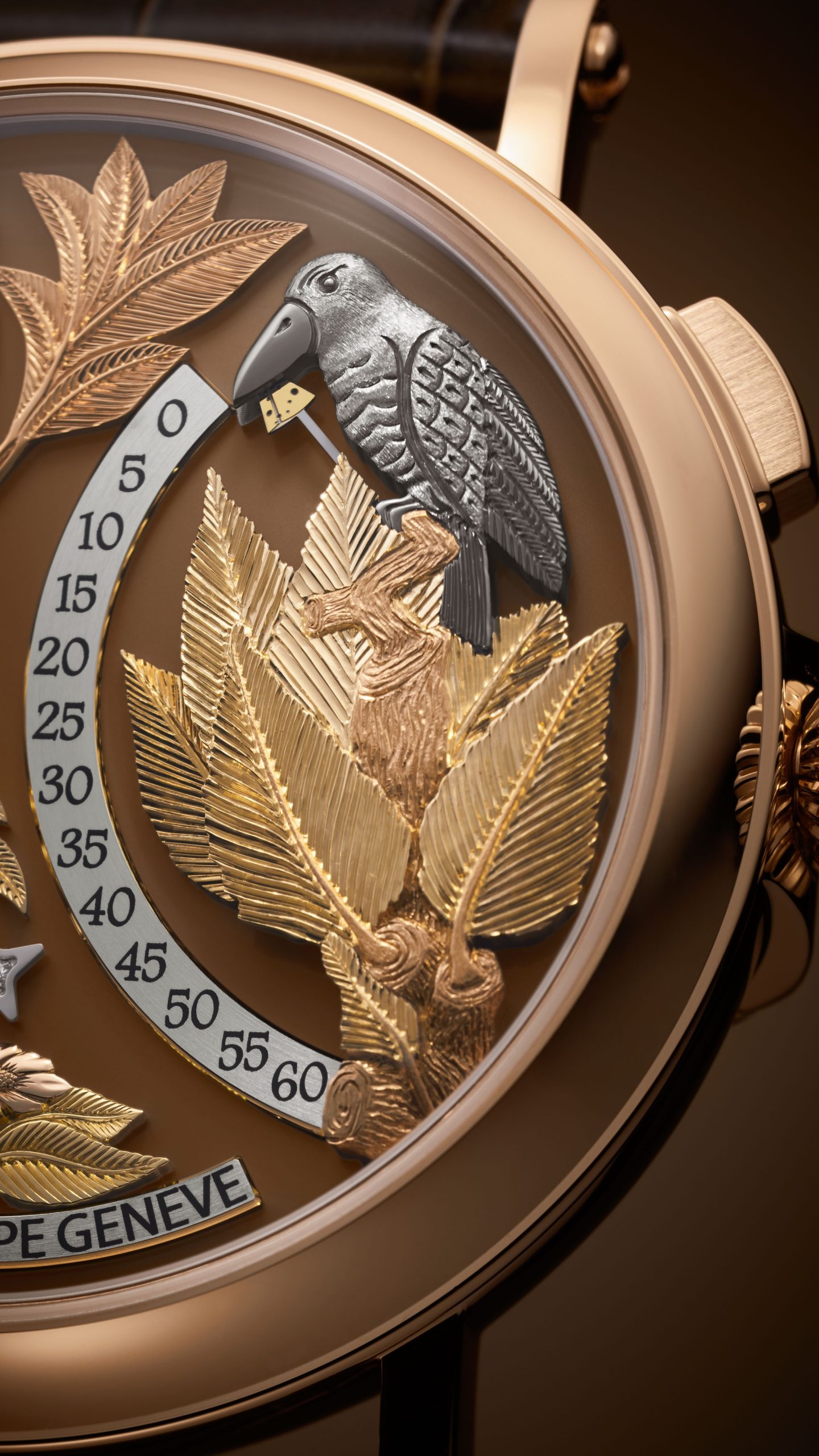 Complications 5249R-001 — view 9
