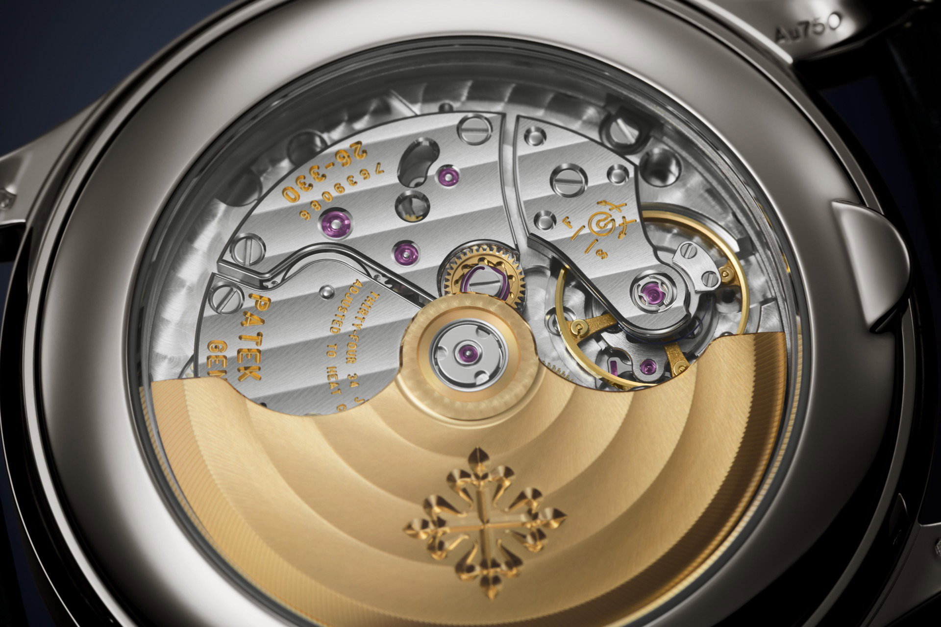 Complications Annual Calendar Moon Phases — view 5