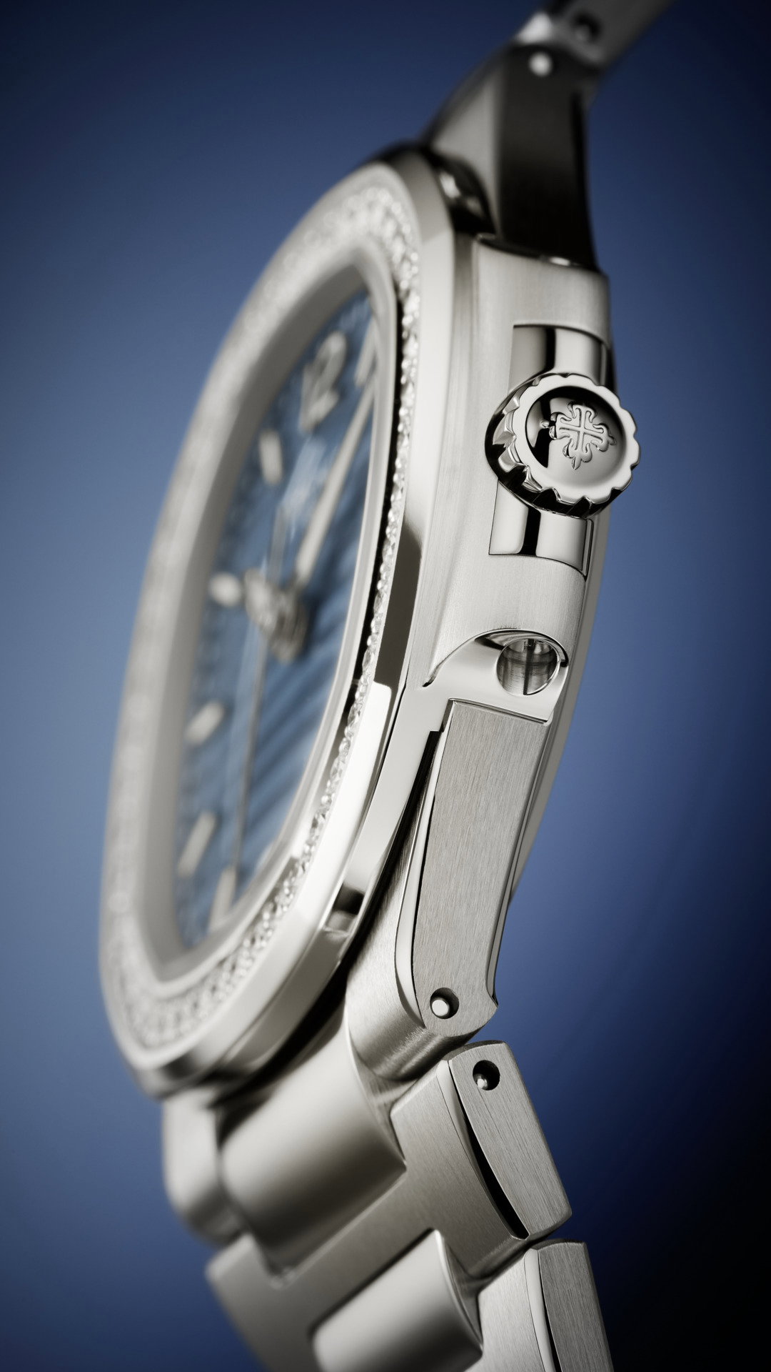 Nautilus — view 5