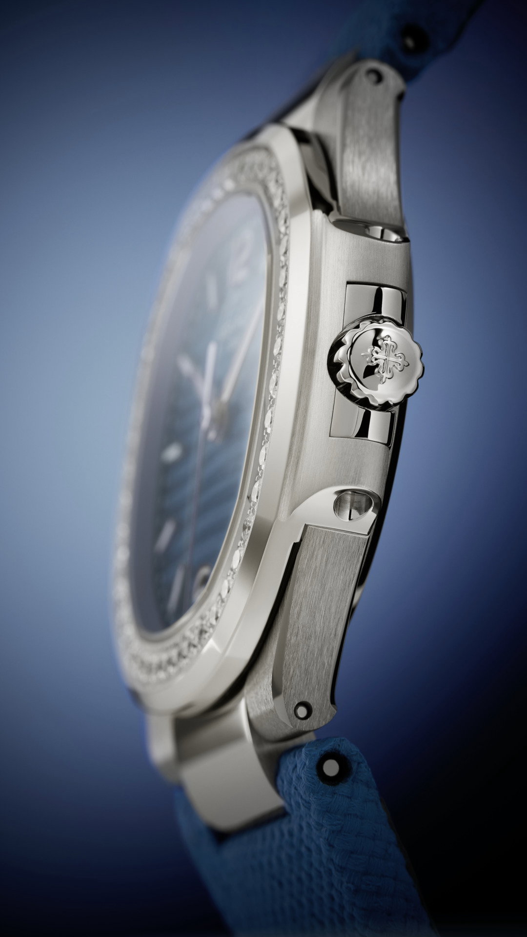 Nautilus — view 5