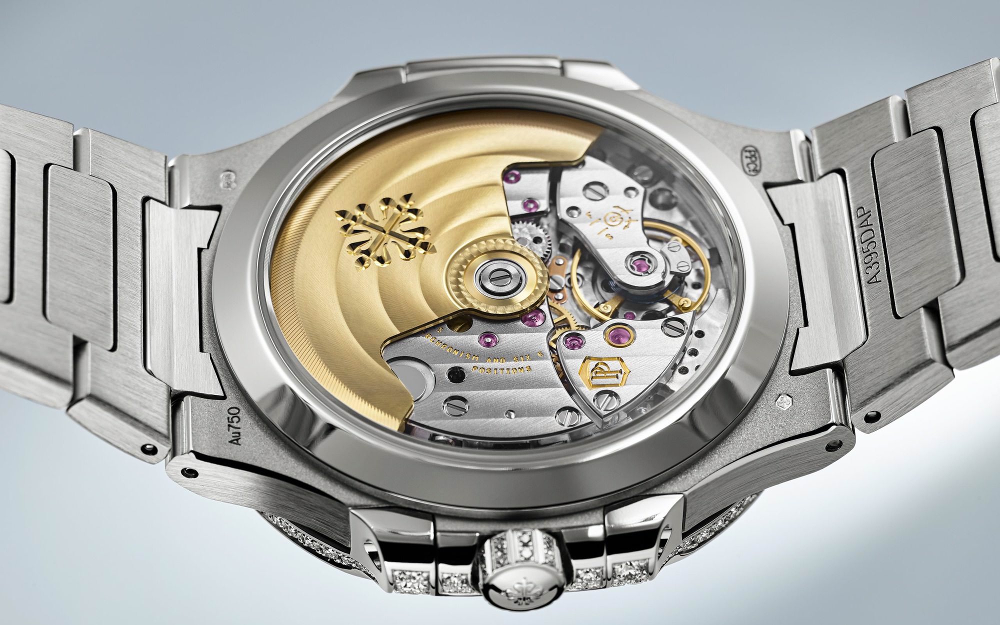 Nautilus — view 7
